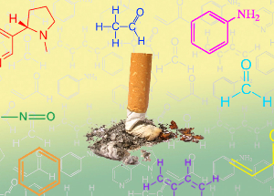 NicoZero bloke suszeptibilitate hartzaileen nikotina